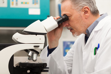 Scientist at work in a laboratory