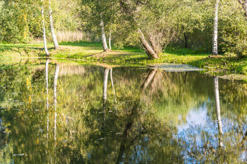 A small lake in autumn day.