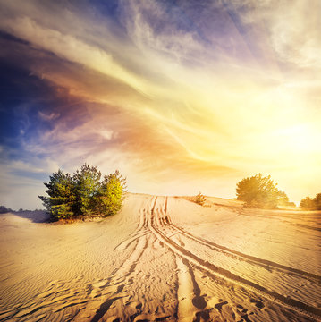 Road in the hot desert sand
