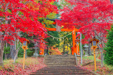 Torii gate to chureito pagoda in autumn, Fujiyoshida, Japan