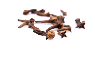 Cloves isolated on white background