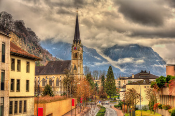 View of Cathedral of St. Florin in Vaduz - Liechtenstein - obrazy, fototapety, plakaty