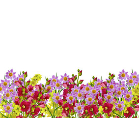 Fototapeta premium Dahlia flower isolated on white background