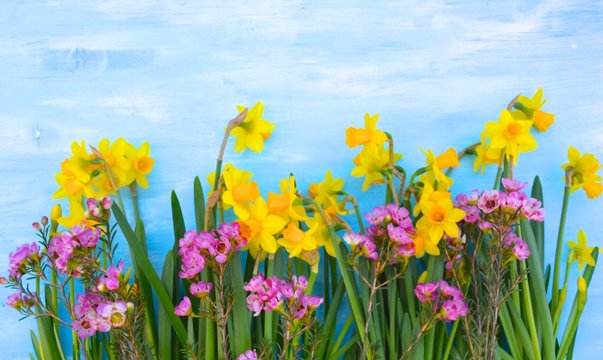 Gru&szlig;karte - Fr&uuml;hlingsblumen