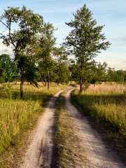 Landscape with village road