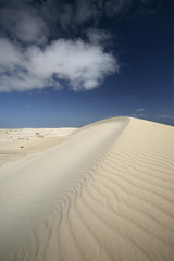 EUROPE CANARY ISLANDS FUERTEVENTURA