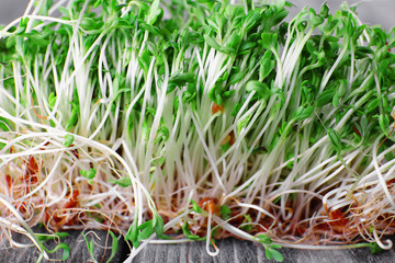 Fresh cress salad on wooden planks background