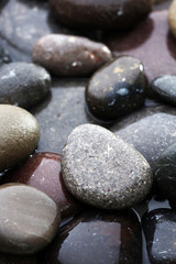 Fototapeta na wymiar Wet sea pebbles, macro view