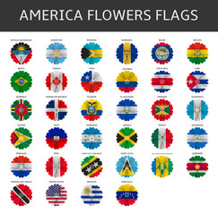 america flowers flags vector