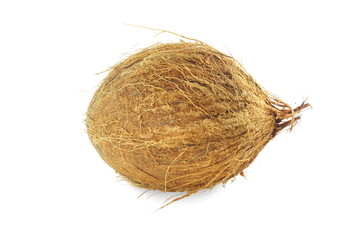 whole coconut in pure white background