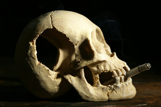 Smoking Human Scull With Cigarette In His Mouth