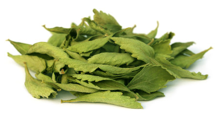 Dried Stevia leaves
