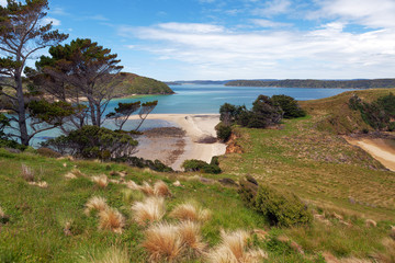 View of Native Island from Stewart Island, Wohlers monument look