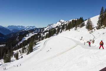 Skifoan