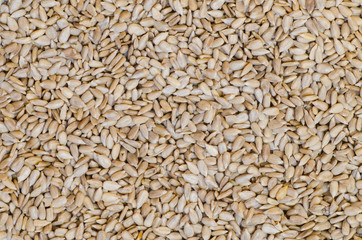 sunflower seeds background