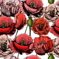 pattern with bright colorful poppies