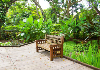 bench in a beautiful park