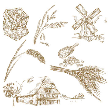 Cereals set. Hand drawn illustration windmill, wheat, oats, farm