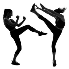 Woman doing martial arts kicking the air