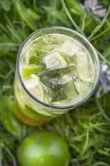 lemonade with ice in grass