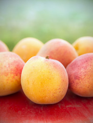 Apricots on red table