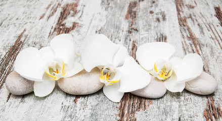 Obraz na płótnie Canvas beautiful orchid with stones