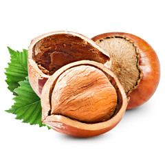 Hazelnuts