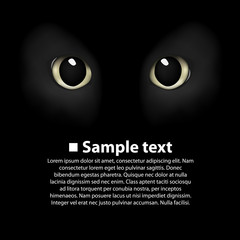 Cat's eyes on a black background