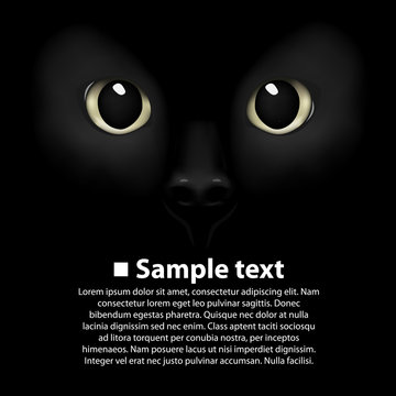 Cat's eyes on a black background