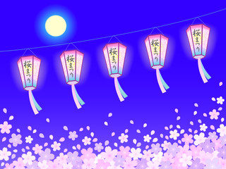 さくら提灯　夜桜4