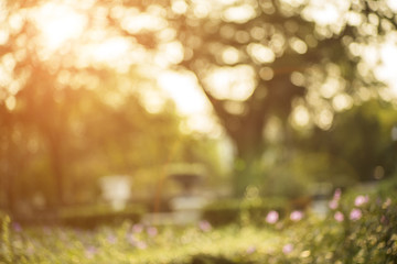Bokeh leaf with sunlight