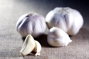 Garlic On Canvas