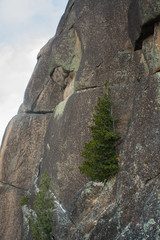 Красноярские Столбы