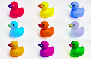 Colorful plastic ducks on white background