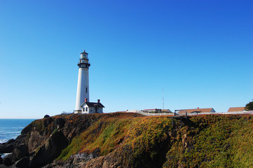 Fototapeta na wymiar Pigeon Point Lighthouse, Pescadero, California, USA