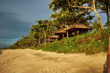 Sandy beach with footprints clear blue sky and green trees
