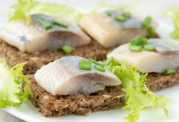 Sandwiches of rye bread with herring