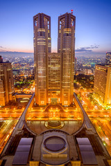 Naklejka premium Tokyo Government Building
