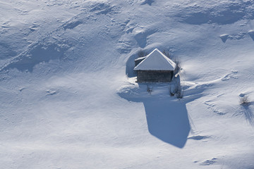 buried in the snow