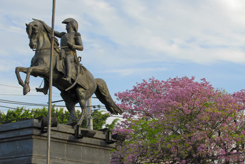 Obraz premium San Martin Statue in Asuncion