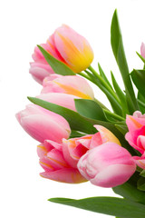 Obraz na płótnie Canvas bouquet of pink and yellow tulip flowers