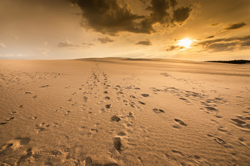 Sunset at Slowinski National Park in Poland