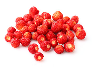Wild strawberry