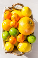 citrus fruits in basket