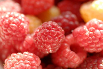 raspberry