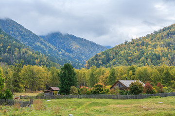 Village on the Lake teletskoye
