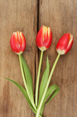 Tulips on wood