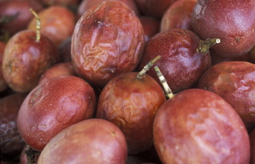 AFRICA FRANCE LA REUNION