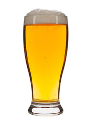 Beer in glass isolated on white background
