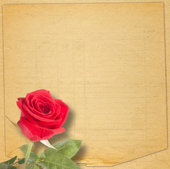 Obraz premium Old vintage card with a beautiful red rose on paper background